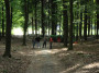 2011-05-07 KPF Wald 34.jpg